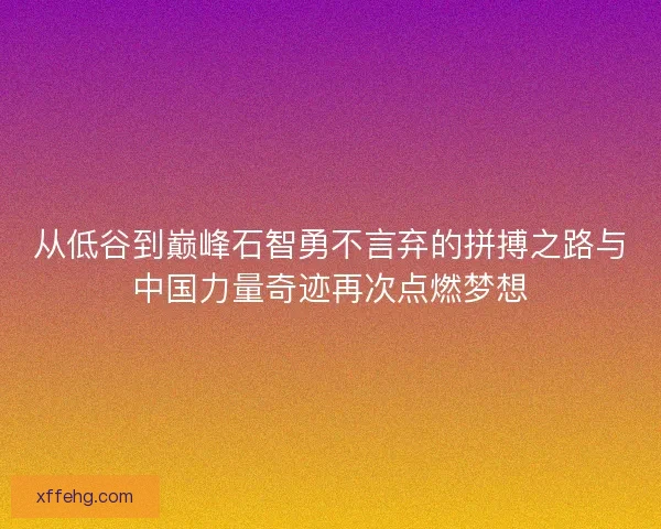 从低谷到巅峰石智勇不言弃的拼搏之路与中国力量奇迹再次点燃梦想